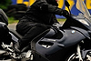 fdm_sr_20110514_0772